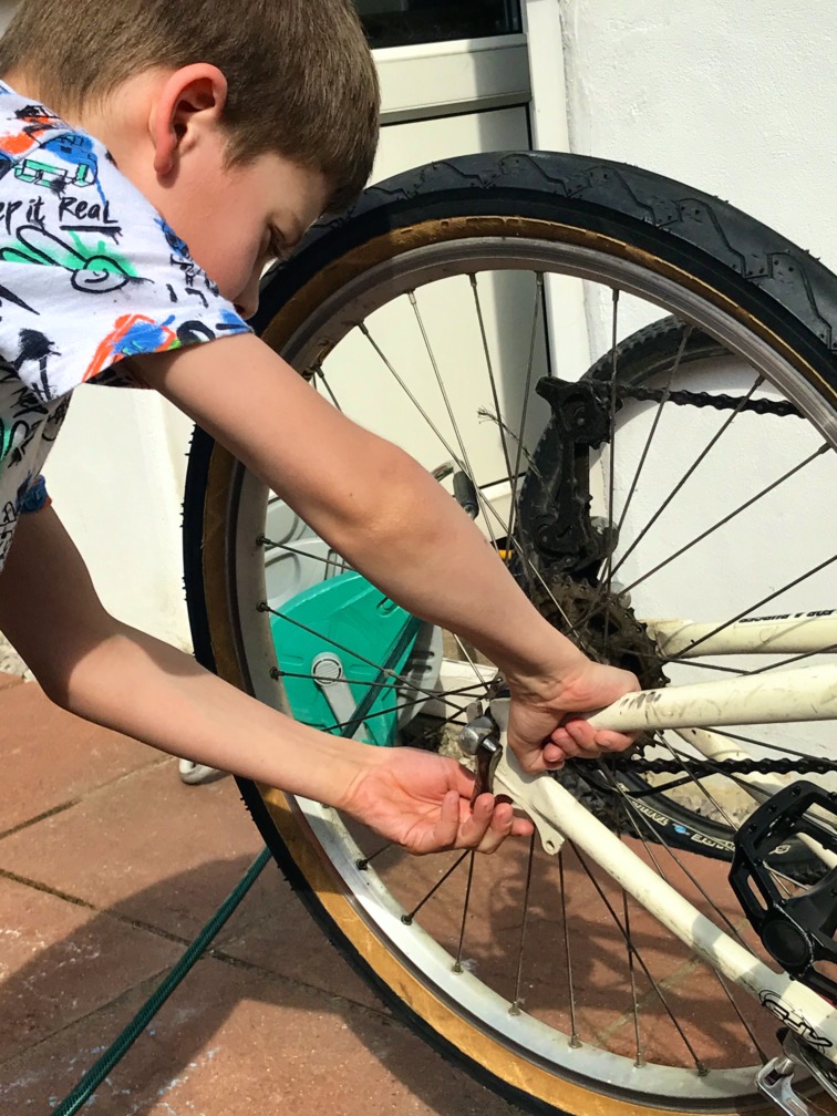 placeholder image-sq