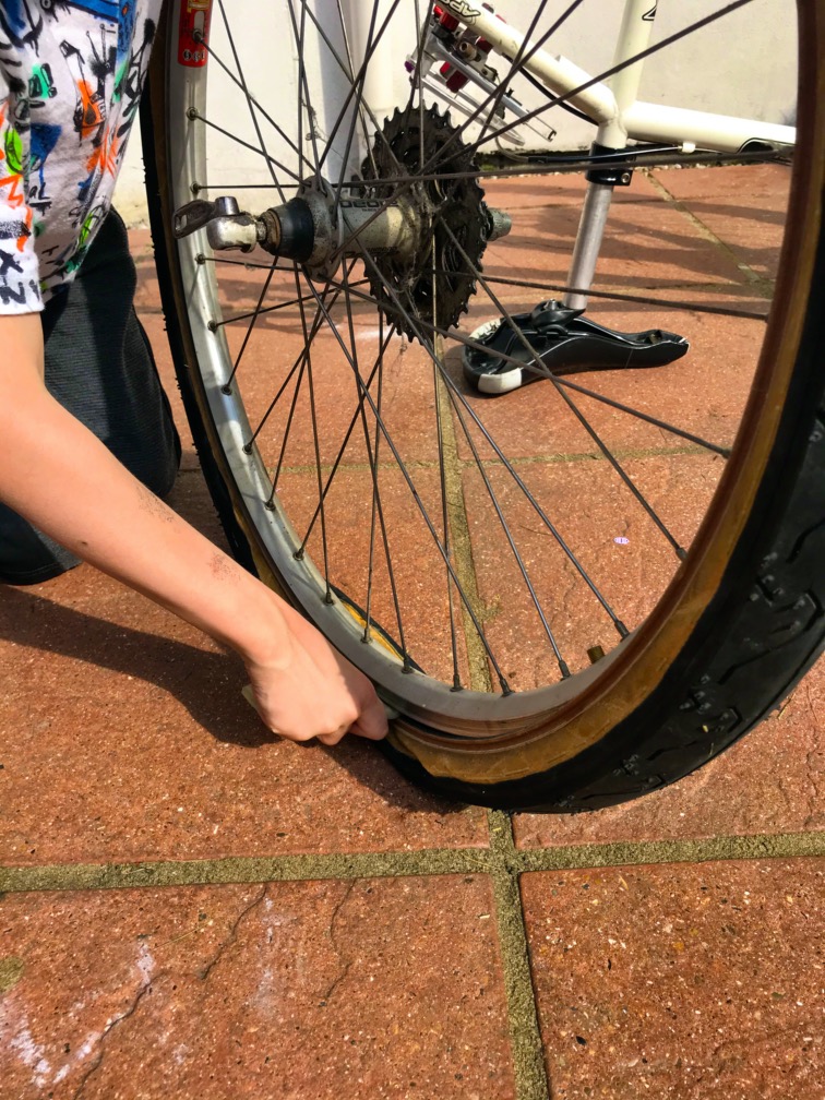 placeholder image-sq