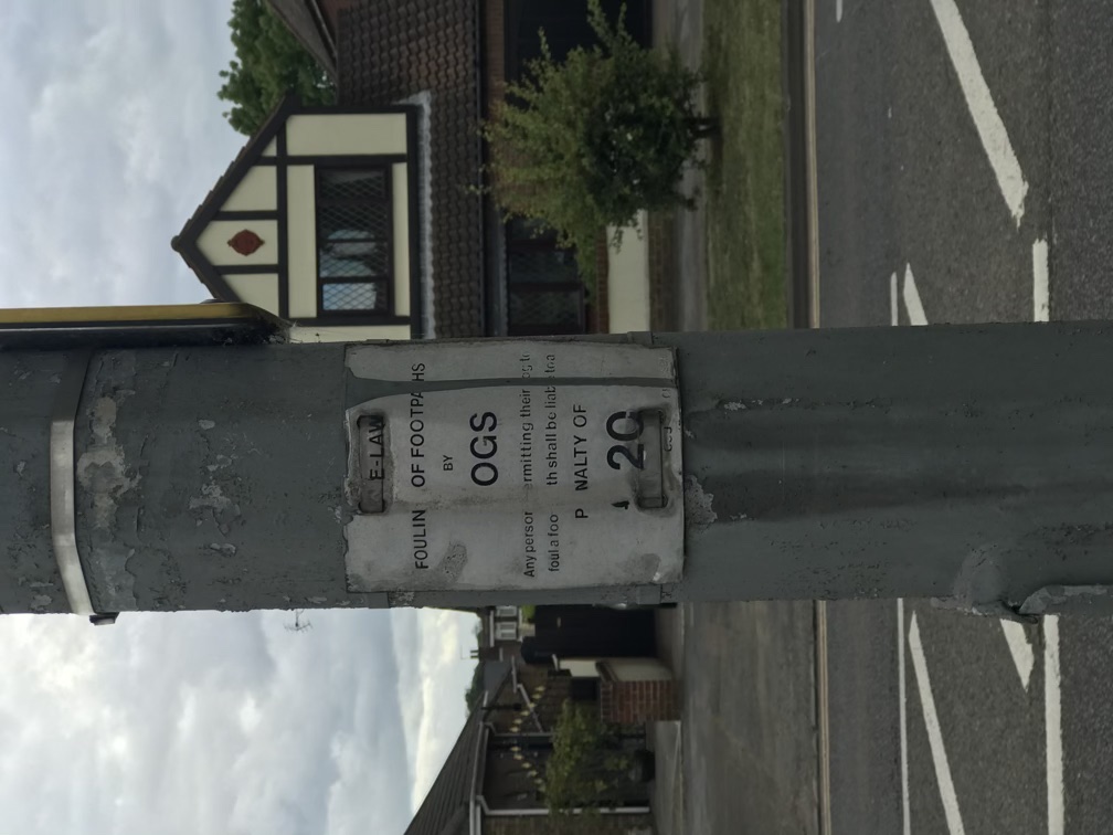 placeholder image-sq