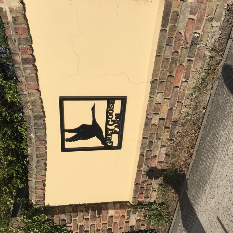 placeholder image-sq